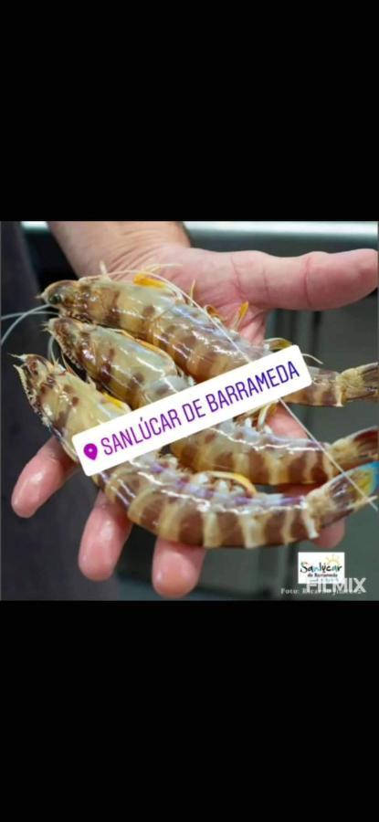 Piso De Dos Dormitorios En El Centro De Sanlucar De Barrameda Sanlúcar de Barrameda Exterior foto